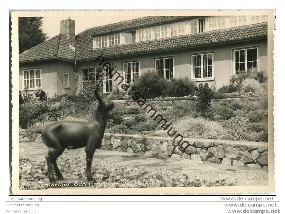 Berlin-Tempelhof - Gärtnerhaus Im Bose-Park - Foto-AK - 60er Jahre - Handabzug - Tempelhof