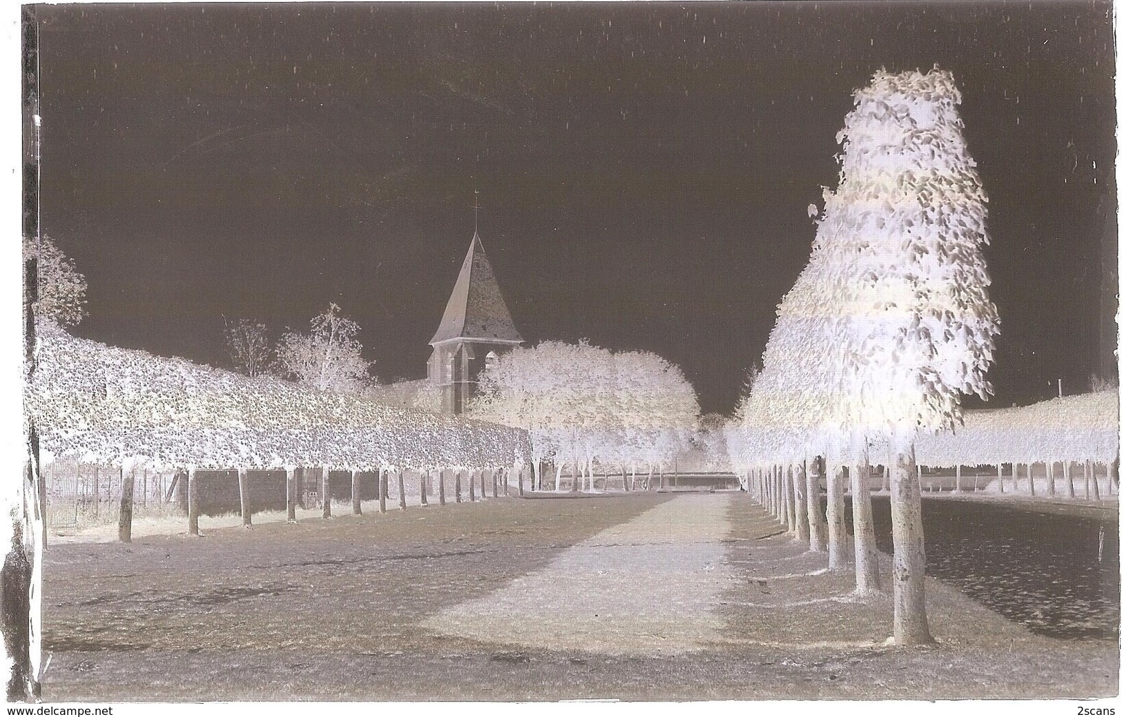 Dépt 80 - HORNOY-LE-BOURG - PLAQUE De VERRE (négatif Photo) + La Carte Postale "La Place" Édit. Marchon (Cliché Lelong) - Hornoy Le Bourg