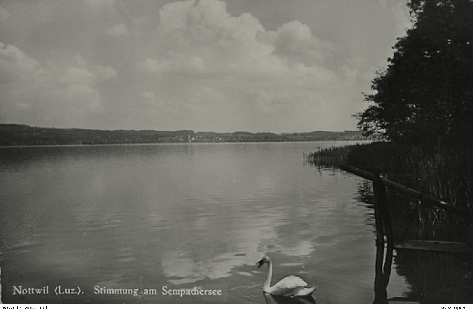 NOTTWIL Stimmung Am Sempachersee - Sempach