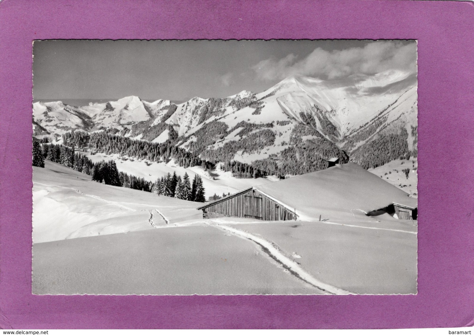 VD Les Alpes Fribourgeoises Et Le Mt Cray Vus De La Braye - Château-d'Œx