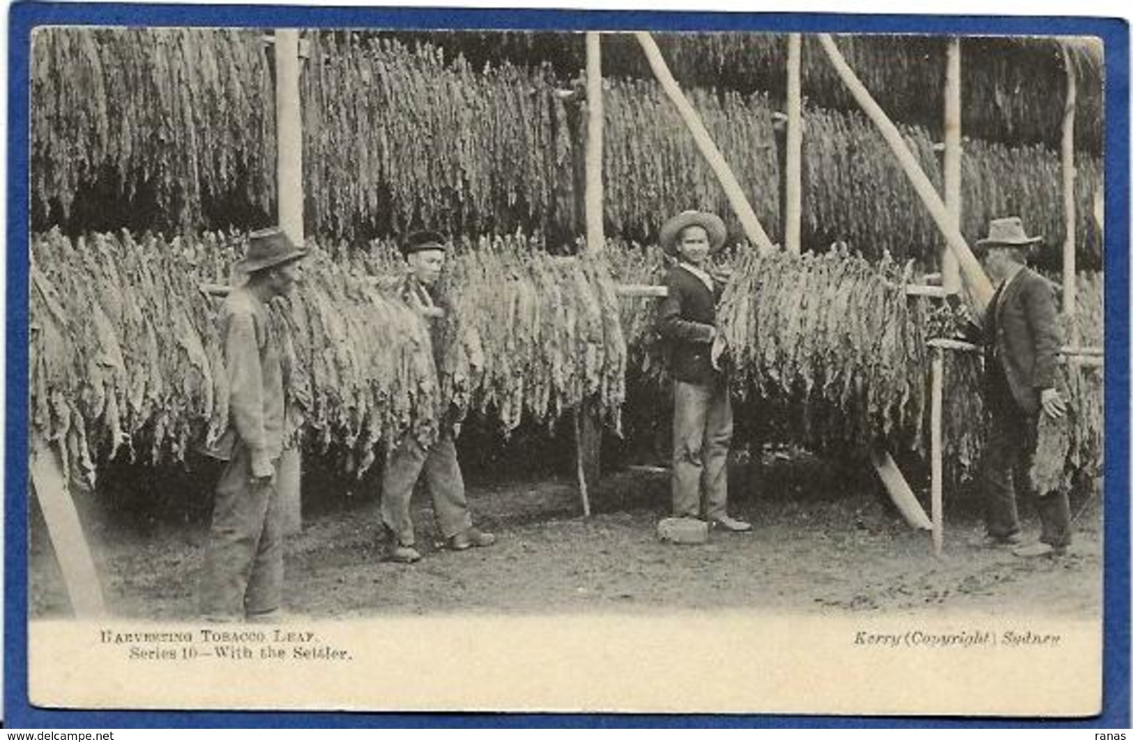 CPA Australie Australia Métier Tabac Tobacco Non Circulé - Aborigènes