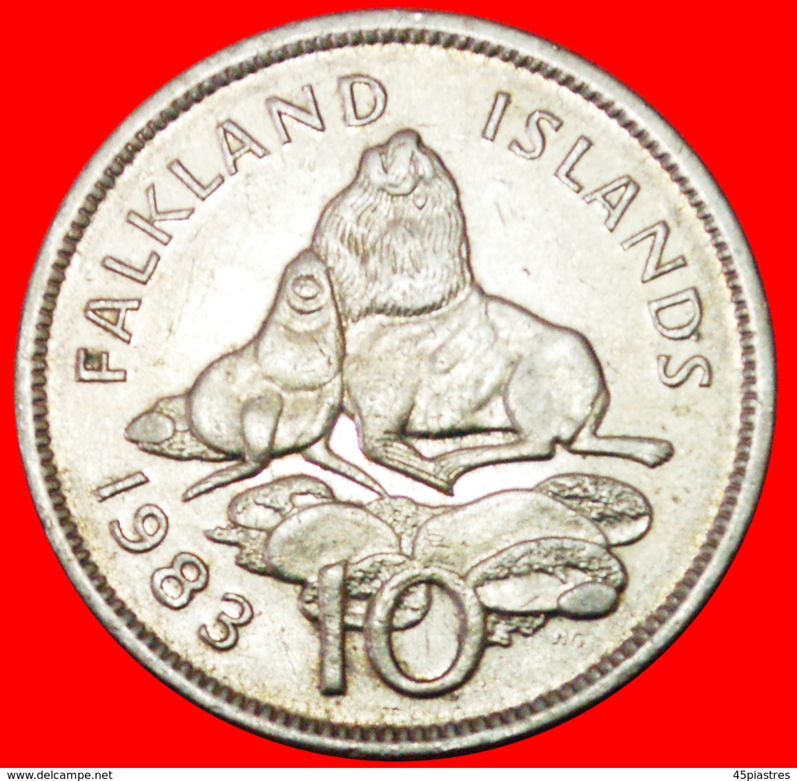 # SEA LIONS (1974-1992): FALKLAND ISLANDS ★ 10 PENCE 1983! LOW START ★ NO RESERVE! - Falklandinseln