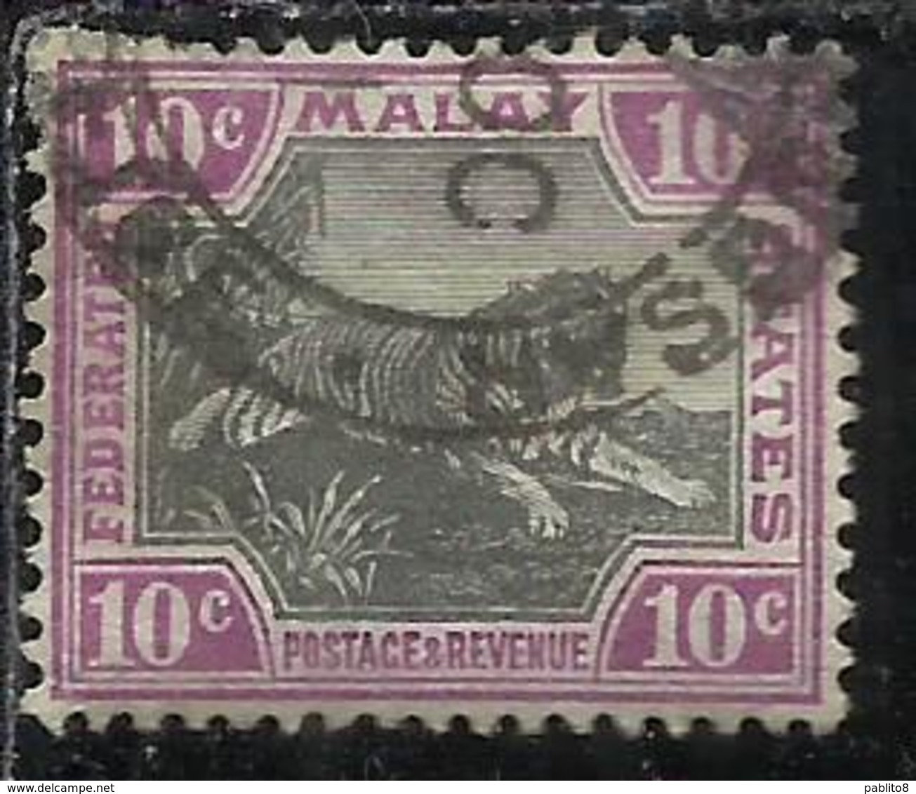 MALAYA MALAISIE MALESIA FEDERATED STATES 1901 WILD FAUNA TIGER TIGRE CENT. 10c USATO USED OBLITERE' - Fédération De Malaya