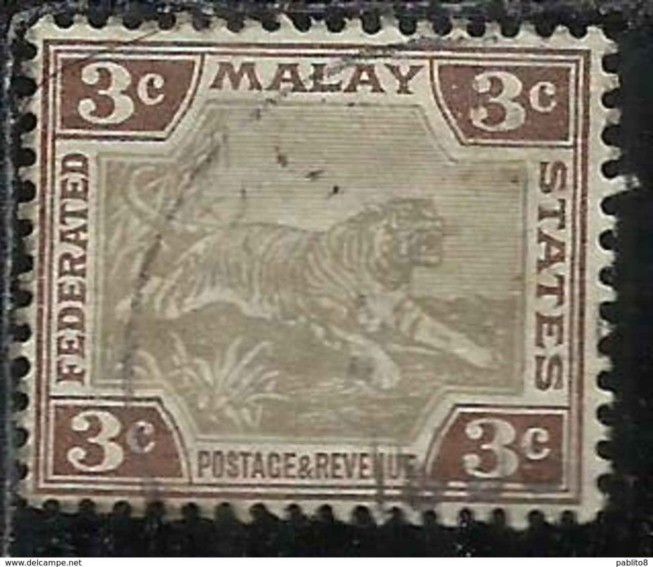 MALAYA MALAISIE MALESIA FEDERATED STATES 1901 1910 WILD FAUNA TIGER TIGRE CENT. 3c USATO USED OBLITERE' - Fédération De Malaya