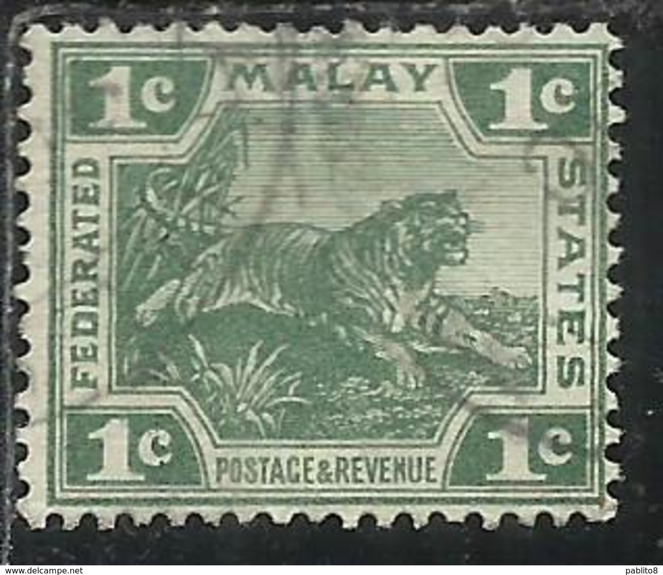 MALAYA MALAISIE MALESIA FEDERATED STATES 1906 1922 WILD FAUNA TIGER TIGRE CENT. 1c USATO USED OBLITERE' - Fédération De Malaya