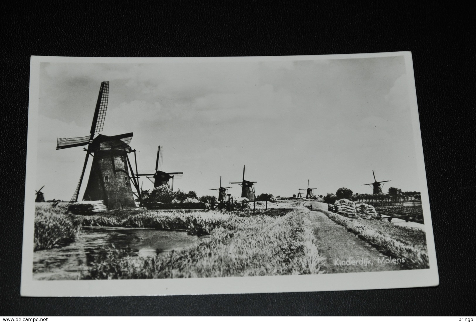 877-  Kinderdijk, Molens - Kinderdijk