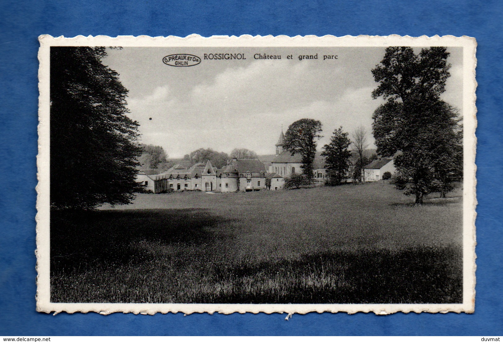 Belgique Luxembourg Tintigny Rossignol Chateau Et Grand Parc ( Format 9x14 ) - Tintigny