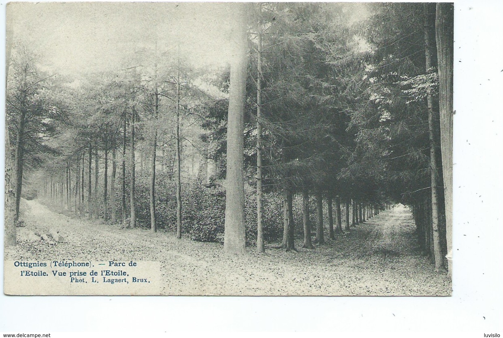 Ottignies Parc De L'Etoile Vue Prise De L'Etoile - Ottignies-Louvain-la-Neuve