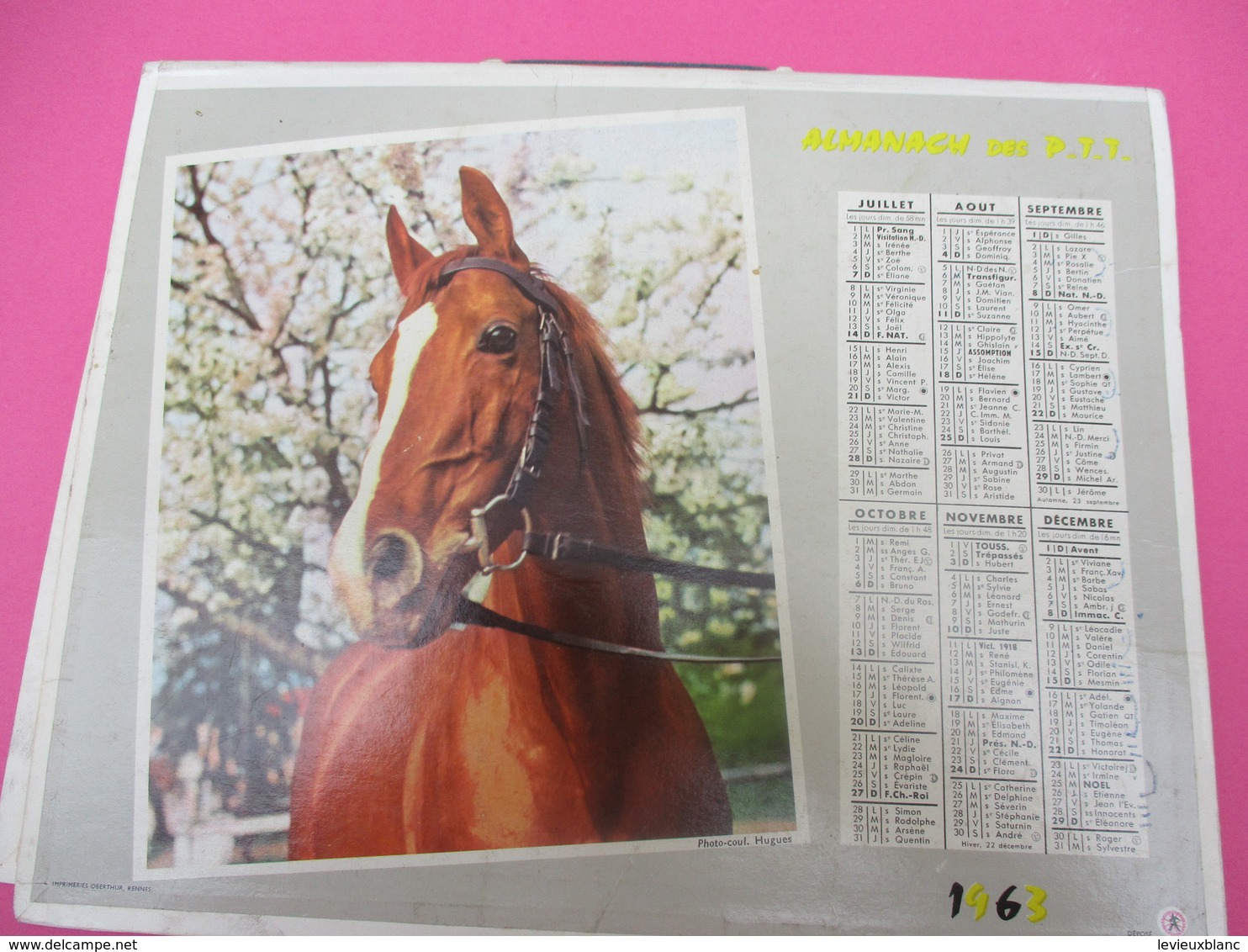 Almanach Des PTT/ Corréze/ Chat  Et Cheval / Oberthur/ Rennes / 1963       CAL396 - Groot Formaat: 1961-70