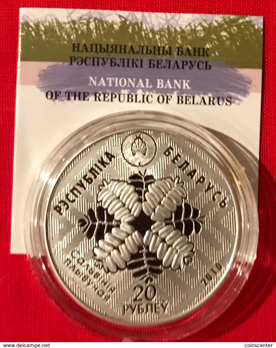 Belarus 20 Roubles 2010 "Middle Pripyat - Pond Turtle" Silver AG PROOF - Belarus