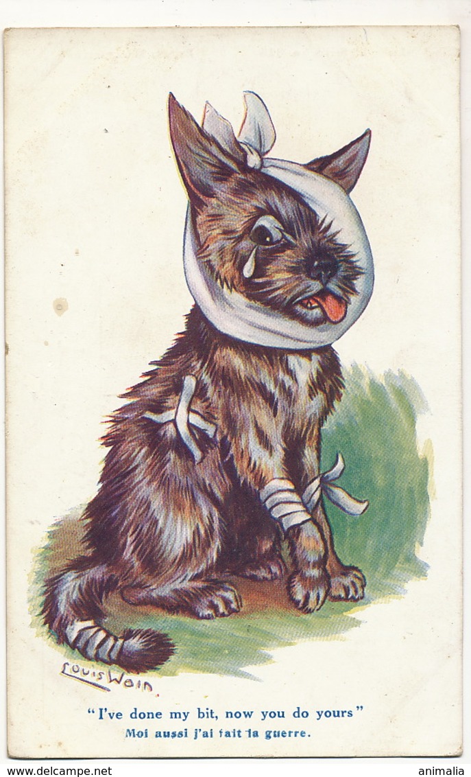 Louis Wain Moi Aussi J' Ai Fait La Guerre . Chien Blessé . Wounded Dog . Veterinary - Wain, Louis