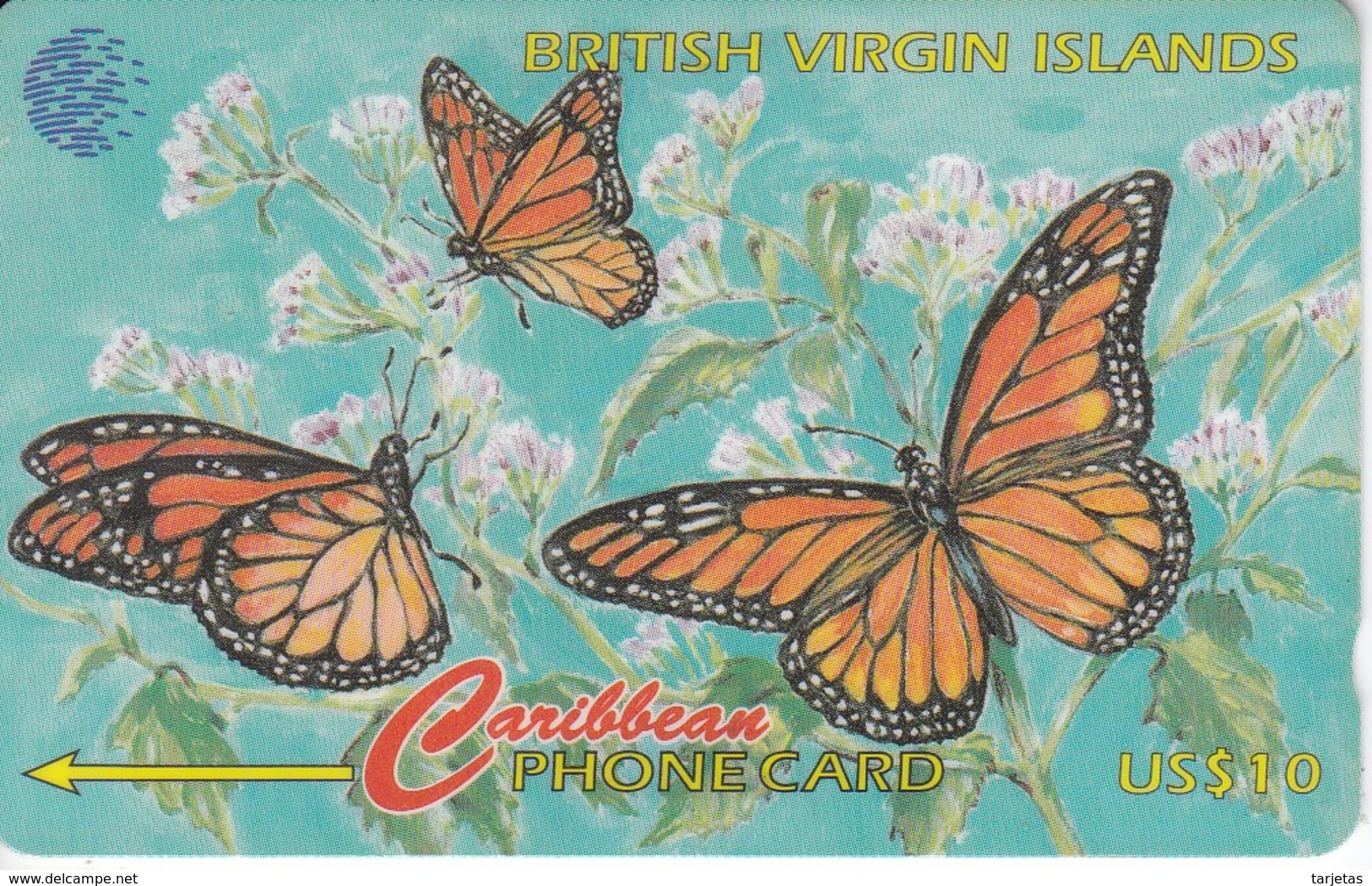 TARJETA DE VIRGIN ISLANDS DEL UNAS MARIPOSAS - BUTTERFLY  (67CBVB) - Jungferninseln (Virgin I.)