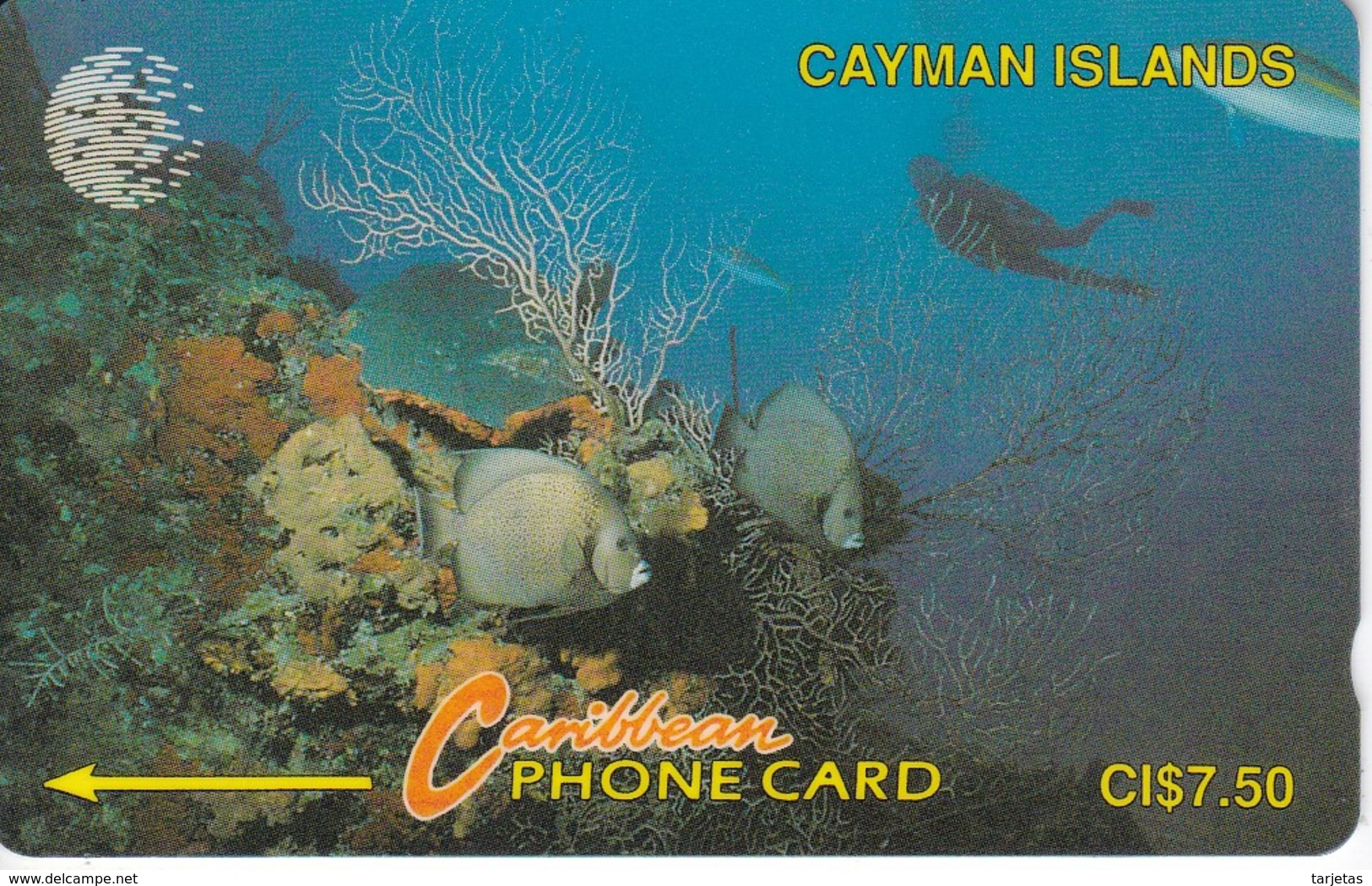 TARJETA DE CAYMAN ISLANDS DE VARIOS PECES  (FISH-PEZ-POISSON) 5CCIA - Iles Cayman