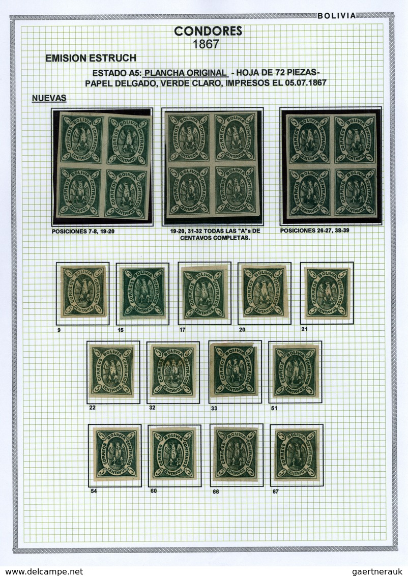 Bolivien: 1867: THE CONDOR ISSUE: A scarce and unique special collection of a most exciting classica