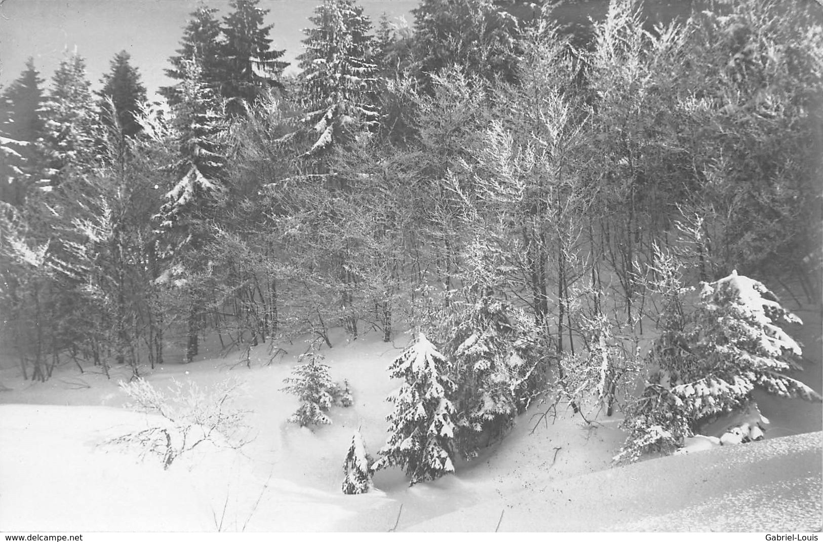 Carte-Photo - Paysage D'Hiver Et De Neige - Envoyée De St-Imier En 1927 - Saint-Imier 