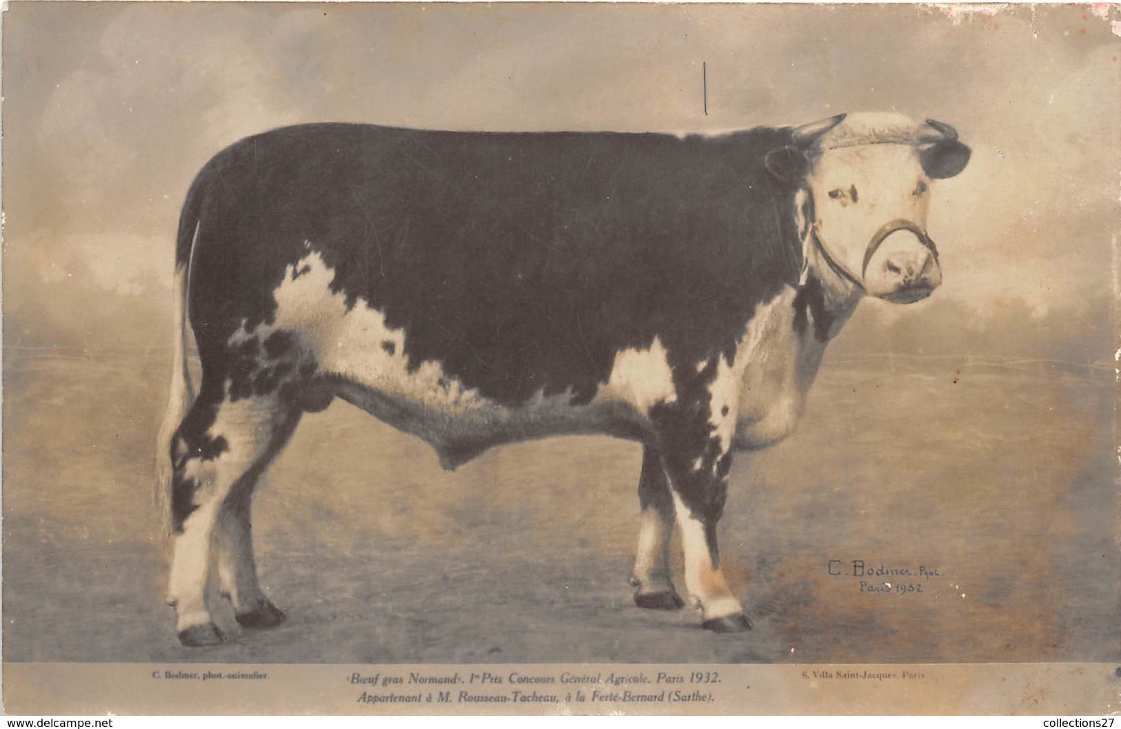 72-LA-FERTE-BERNARD - BOEUF GRAS NORMAND, 1er PRIX DU CONCOURS Gél DE PARIS 1932, APPAR A M. ROUSSEAU-TACHEAU - La Ferte Bernard