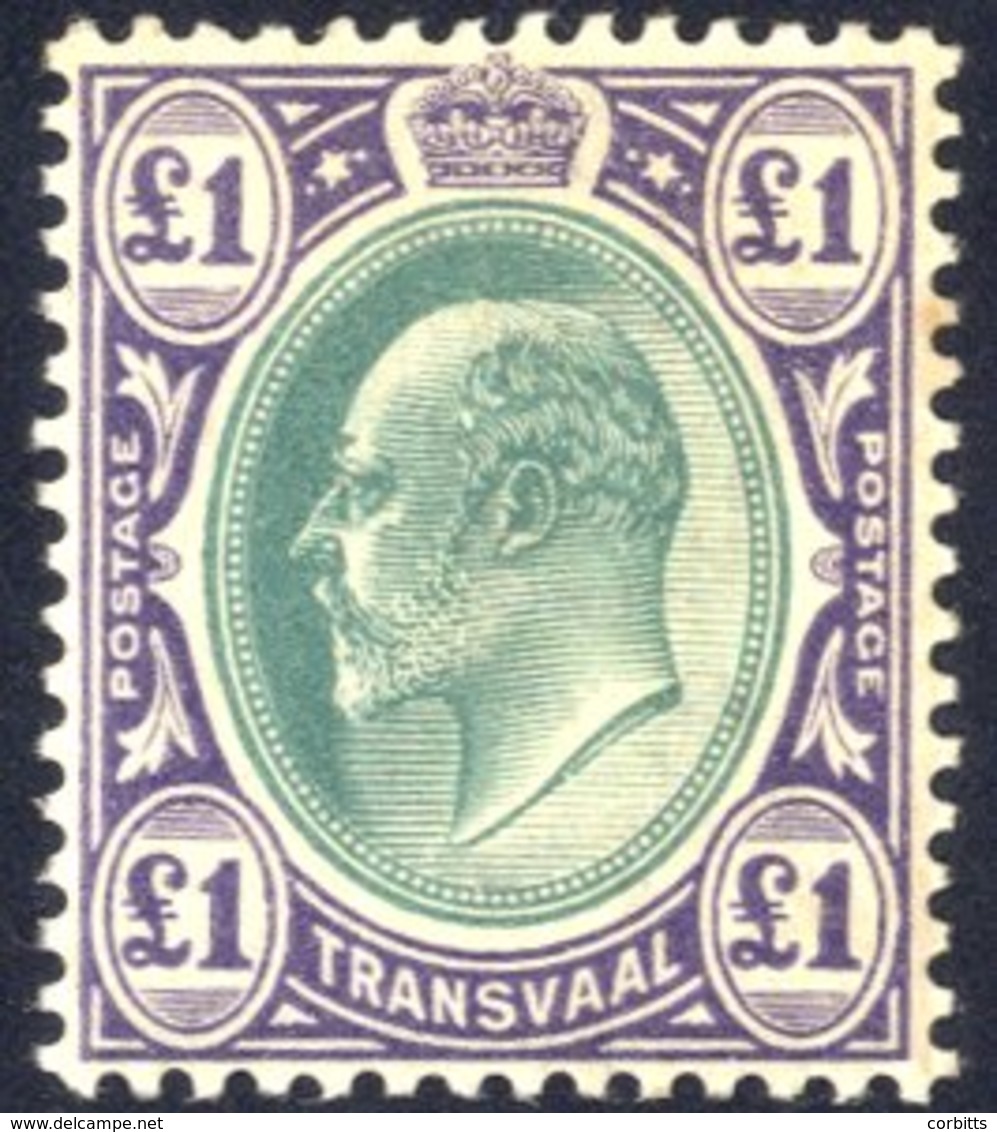 1903 CCA £1 Green & Violet, Fine M, SG.258. (1) Cat. £375 - Autres & Non Classés