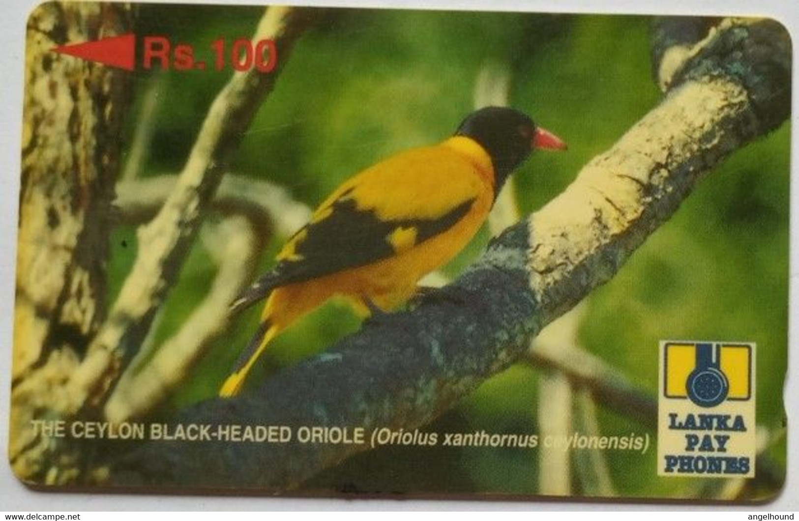 Sri Lanka 21SRLC Rs.100,Black Headed Oriole - Sri Lanka (Ceylon)