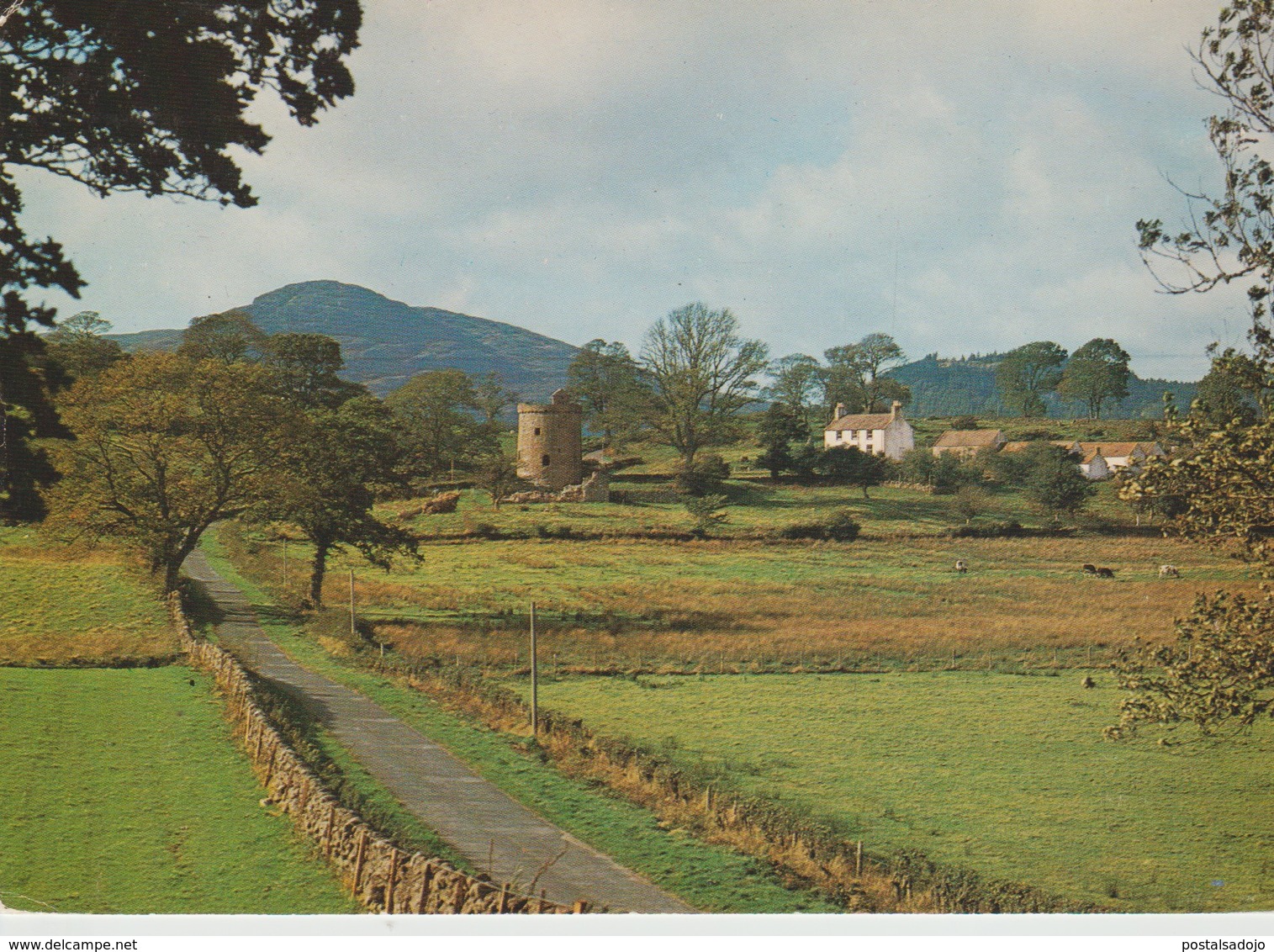 (ANG666) PALNACKIE. ORCHARDTON TOWER - Kirkcudbrightshire