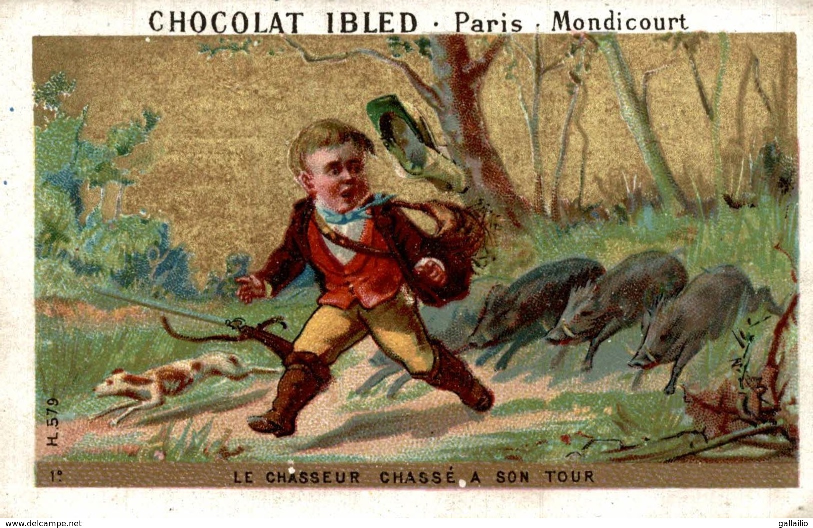 CHROMO CHOCOLAT IBLED LE CHASSEUR DE SANGLIER CHASSE A SON TOUR - Ibled