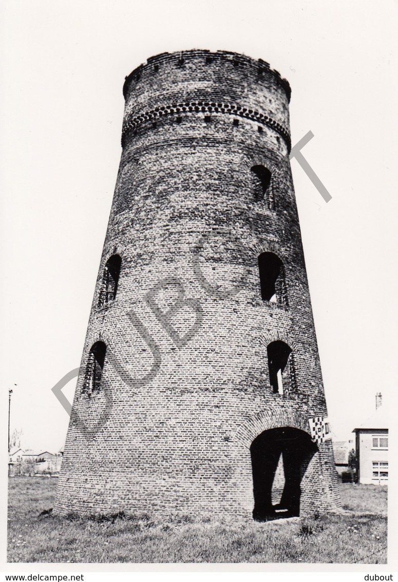 Putte MOLEN / MOULIN -Originele Foto Jaren '70 ( A.Carre) 21 - Putte