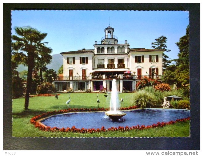 SVIZZERA -MELIDE TICINO -F.G. LOTTO N°552 - Melide