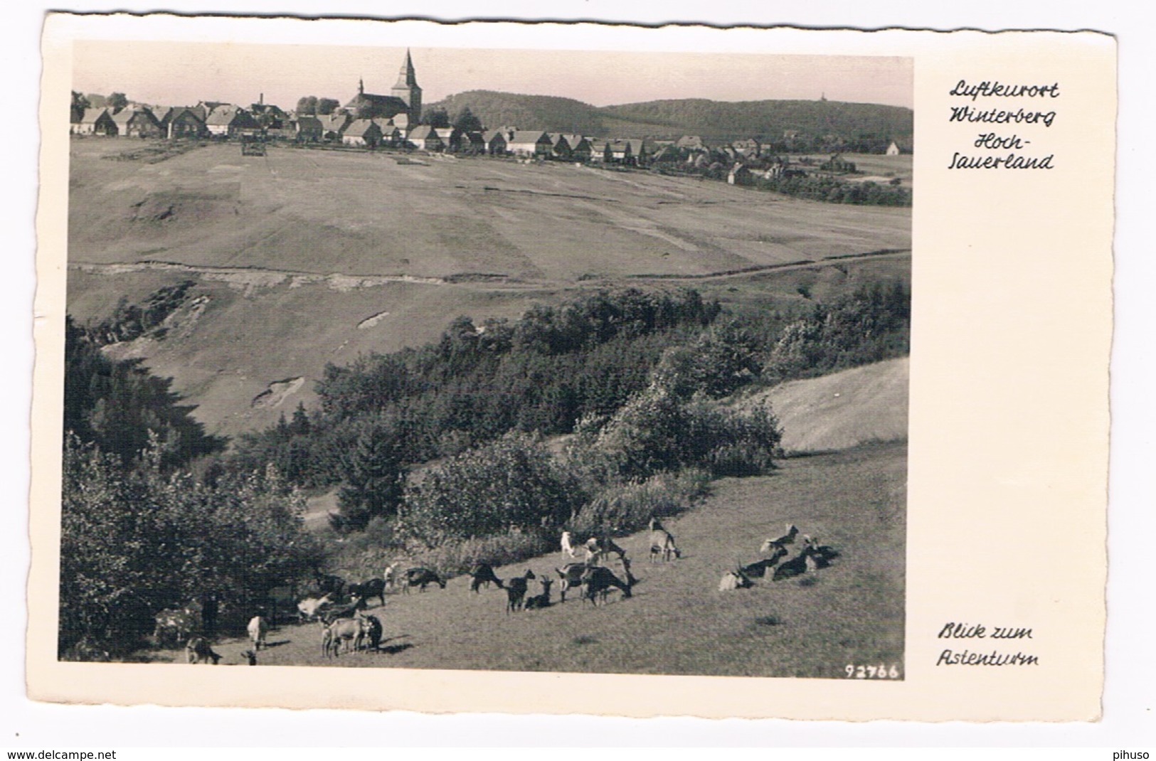 D-8672  WINTERBERG : Blick Zum Astenturm - Winterberg