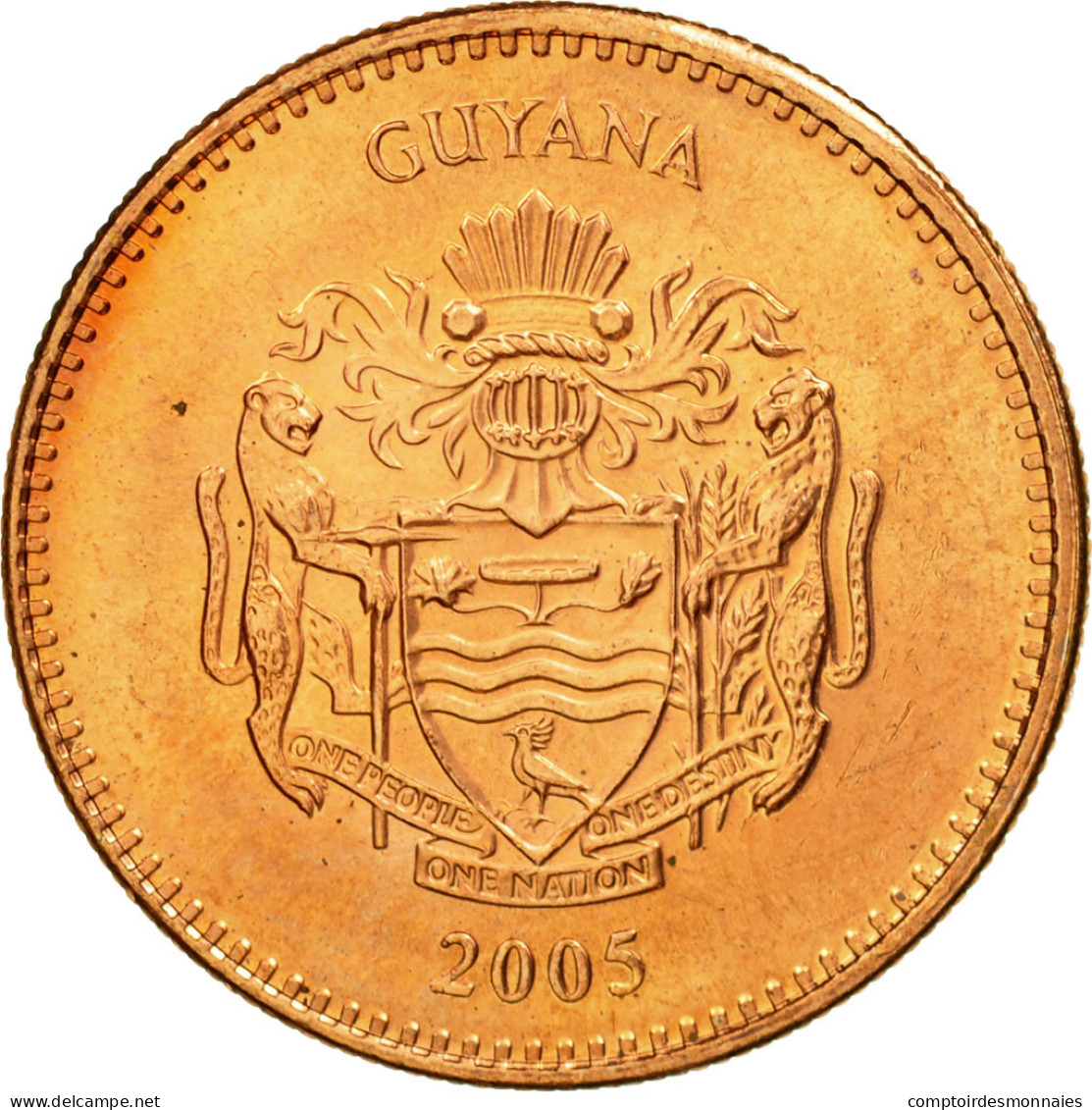 Monnaie, Guyana, 5 Dollars, 2005, Royal Mint, TTB, Copper Plated Steel, KM:51 - Guyana