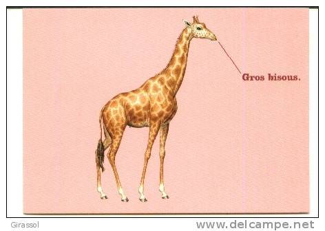 CPM GIRAFE Gros Bisous Fond Rose - Girafes