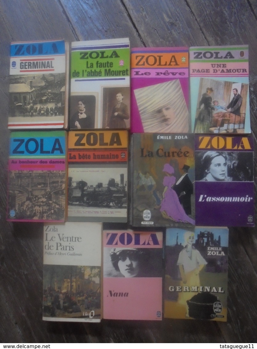 Petit Lot -11 Livres De Emile ZOLA - Paquete De Libros