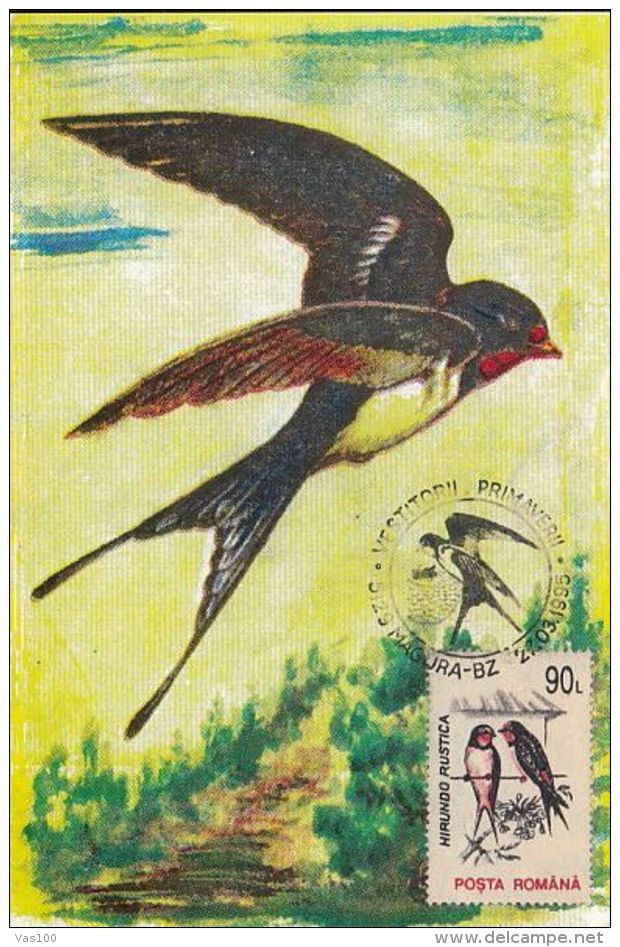 BIRDS, SWALLOWS, CM, MAXICARD, CARTES MAXIMUM, 1995, ROMANIA - Golondrinas