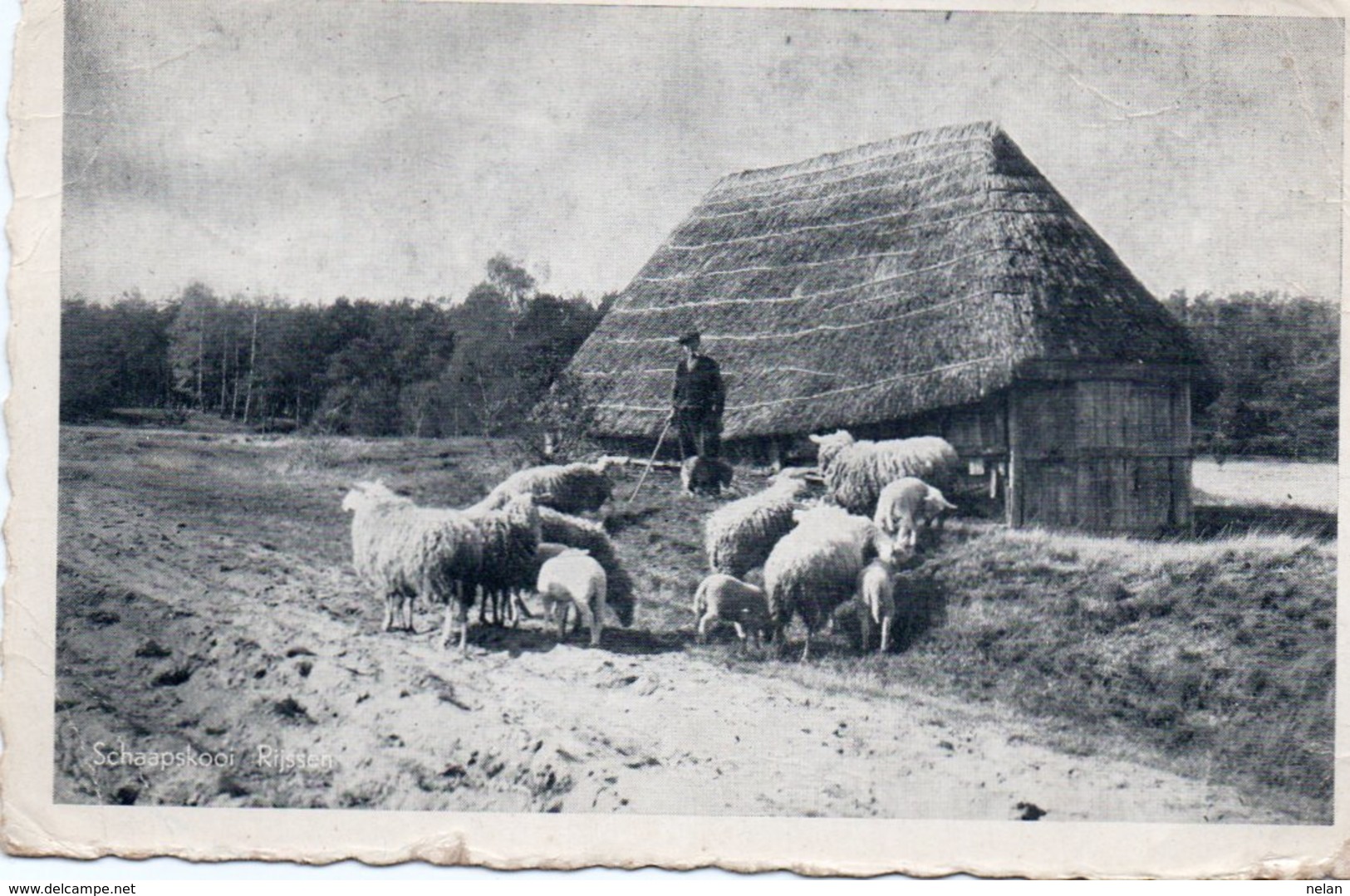 SCHAAPSKOOI-RIJSSEN - Rijssen