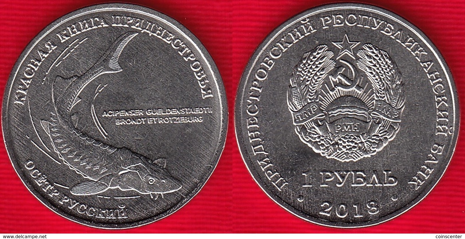 Transnistria 1 Rouble 2018 "Fish Russian Sturgeon" UNC - Moldavië