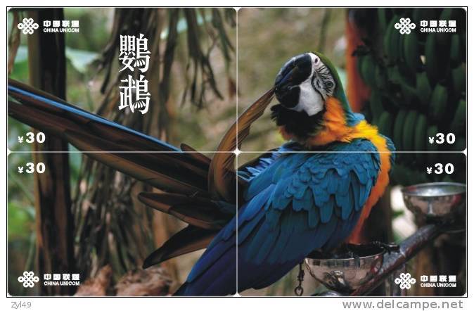 B02132 China Parrot Puzzle 4pcs - Papageien