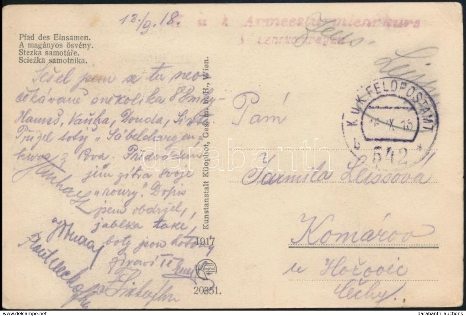 1918 Tábori Posta Képeslap / Field Postcard 'K.u.k. Armeesturm...' + 'FP 542 B' - Sonstige & Ohne Zuordnung