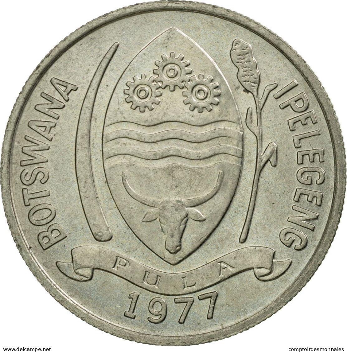 Monnaie, Botswana, 10 Thebe, 1977, British Royal Mint, SUP, Copper-nickel, KM:5 - Botswana