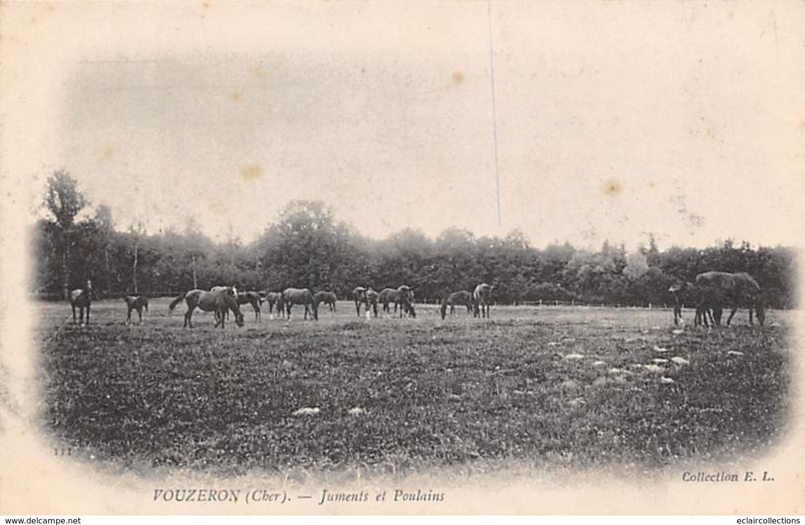 Vouzeron        18       Juments Et Poulains               (voir Scan) - Vouzeron