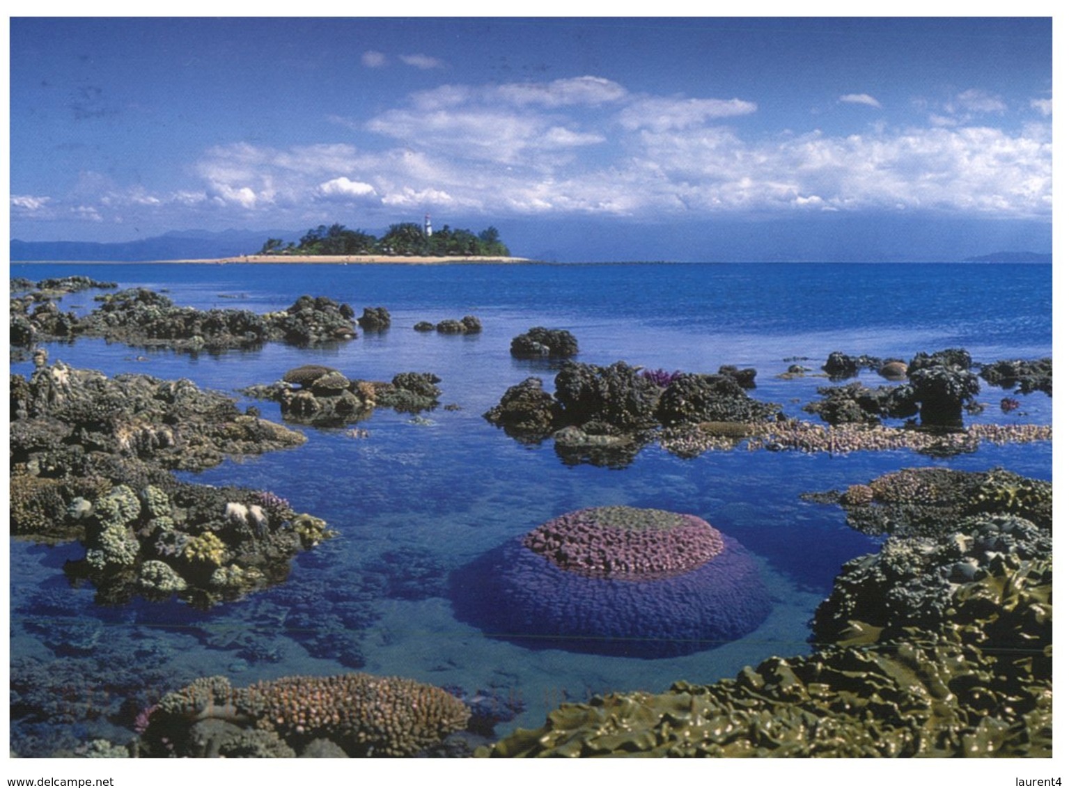 (675) Australia - Coral Cay 2 (with Stamp At Back Of Card) - Great Barrier Reef