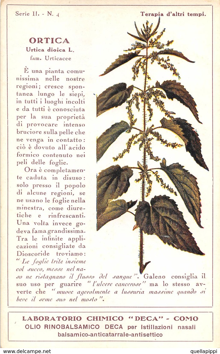 08768 "COMO - LABORATORIO CHIMICO DECA - ORTICA  - URTICA DIOICA L. - PIANTA MEDICINALE"  CART NON SPED - Plantas Medicinales