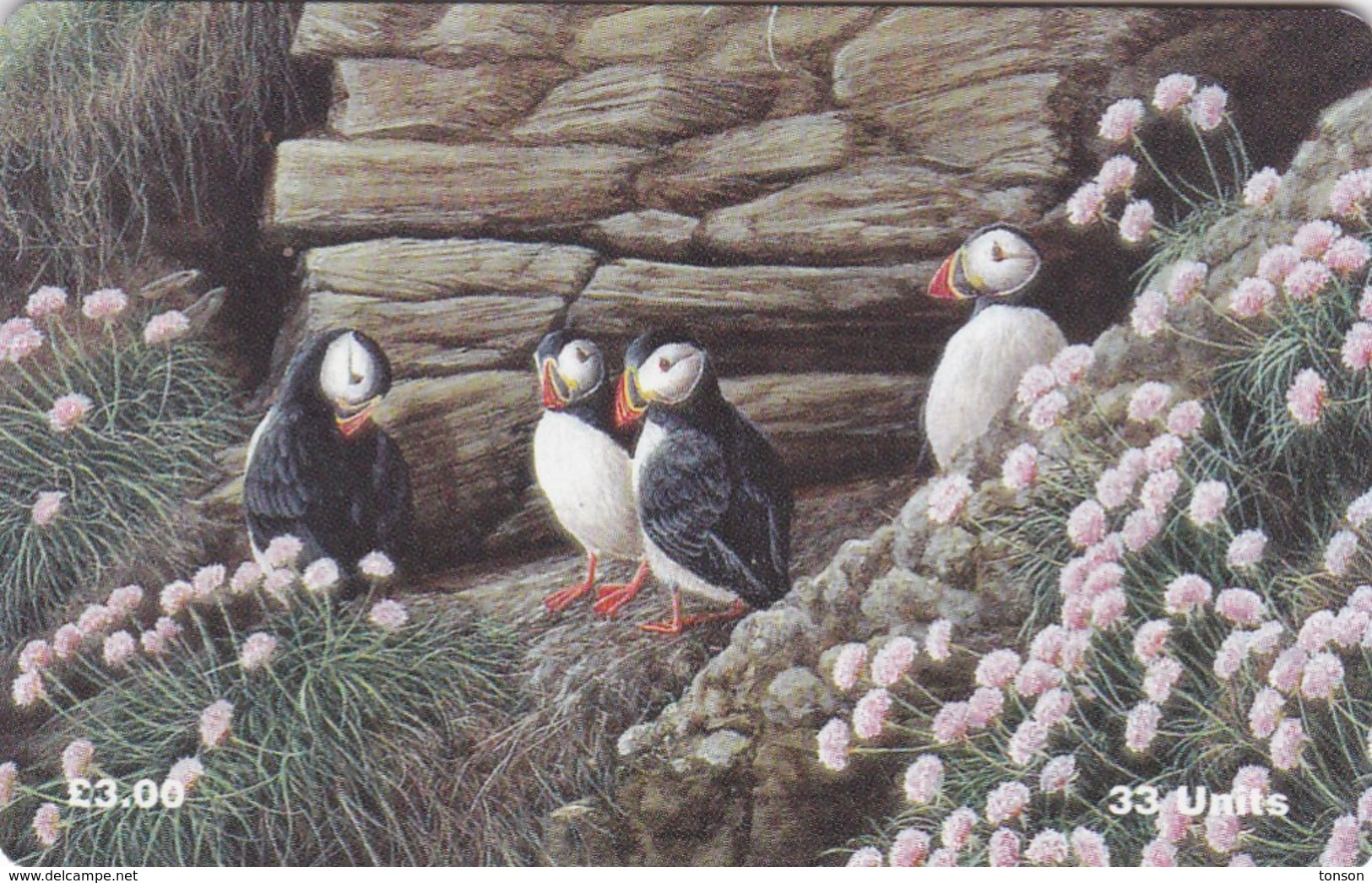 Isle Of Man, MAN 123, Puffins, 2 Scans. - Man (Eiland)