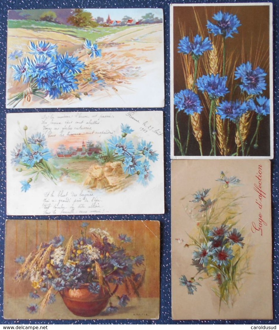 Cpa Lot 5x Litho Relief Illustrateur Voeux Art Nouveau Klein Stehli A&MB KVIB Fleurs Epis Et  Bleuet  1900 1903 1907 - Collections & Lots