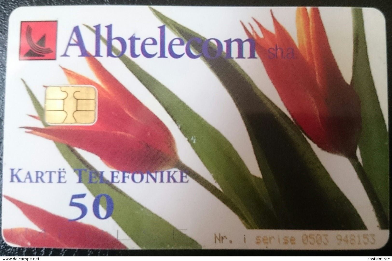 ALBANIA_Flowers_Tulip_Albtelekom_ALB-63_2001_TIRAGE(200,000) - Albanie