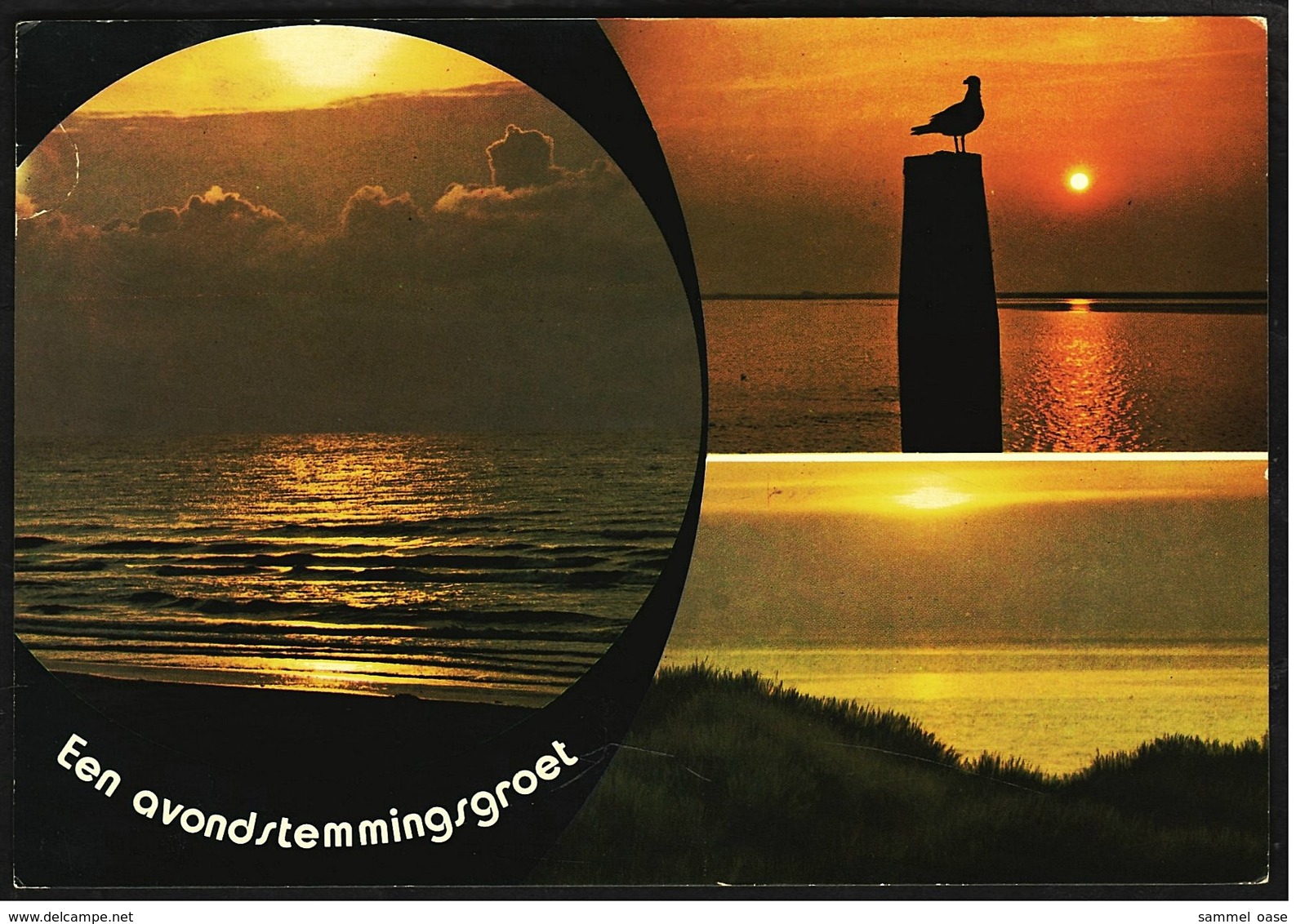 Eiland Schiermonnikoog  -  Mehrbild-Ansichtskarte Ca.1985    (9262) - Schiermonnikoog