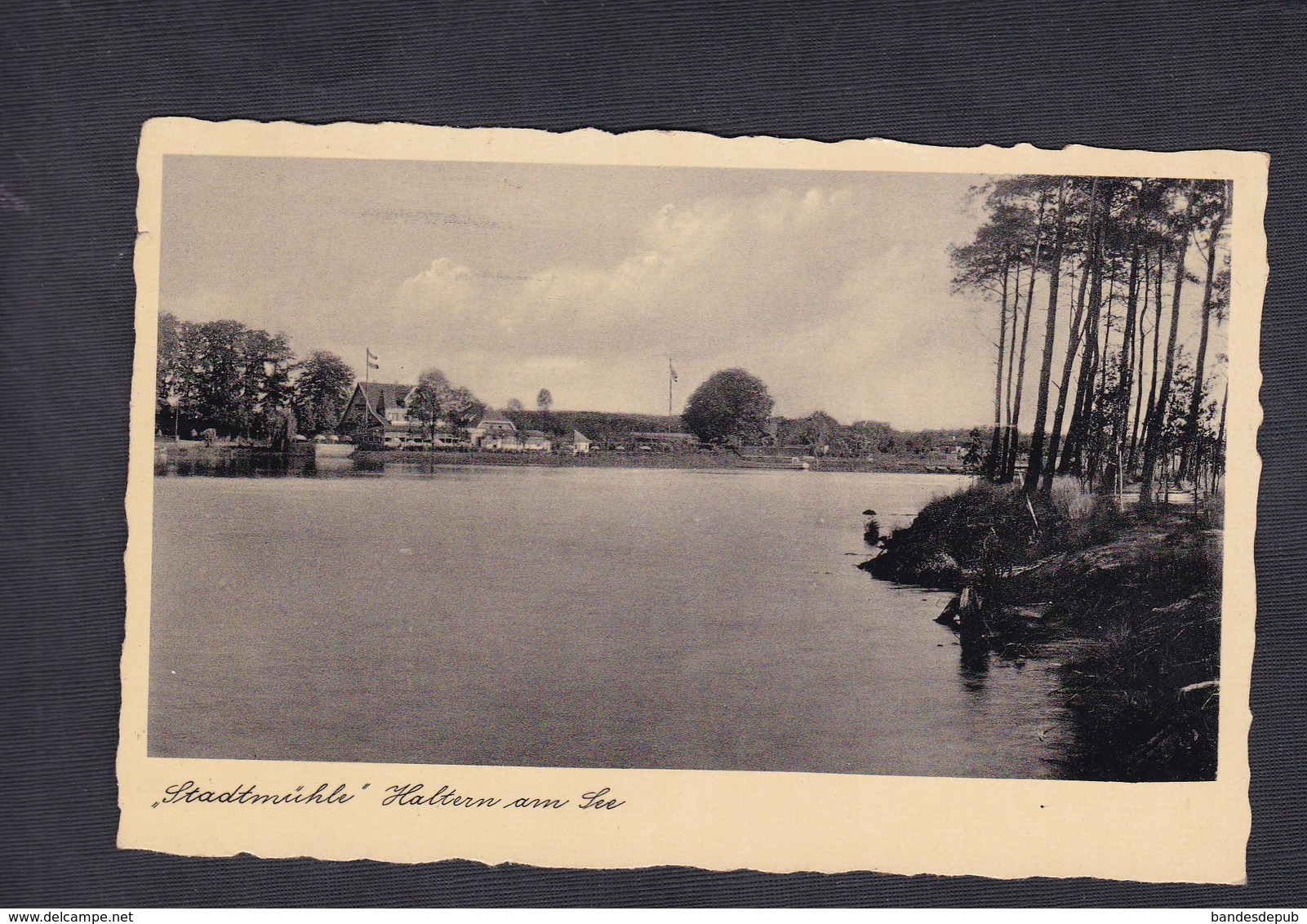 AK Haltern Am See Stadtmühle ( C. Sasse) - Haltern