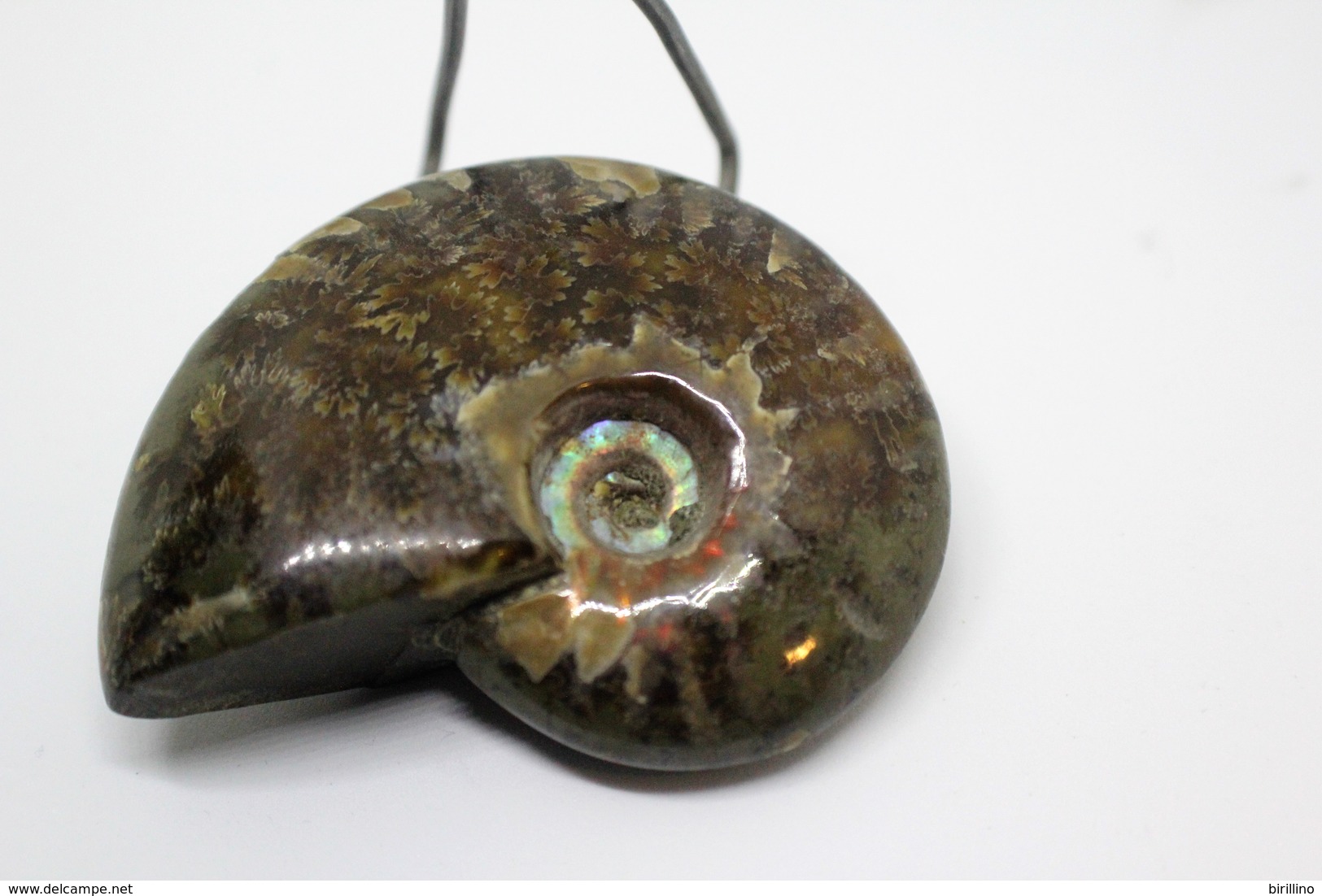 860 - Raro fossile di ammonite iridescente naturale - Provenienza Madagascar Peso 77 gr