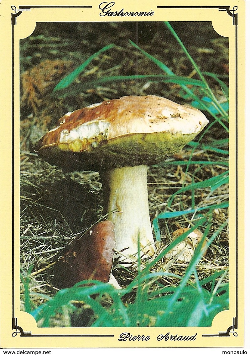 Champignons. CPM. Cêpe. Champignons Des Bois (gastronomie) - Champignons