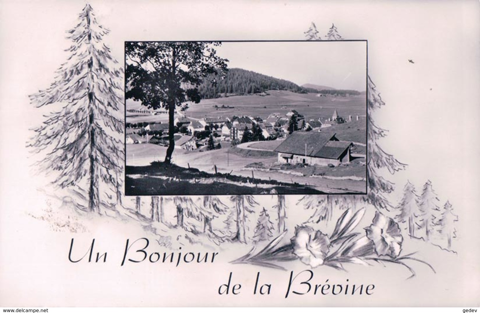 Un Bonjour De La Brévine (11212) - La Brévine