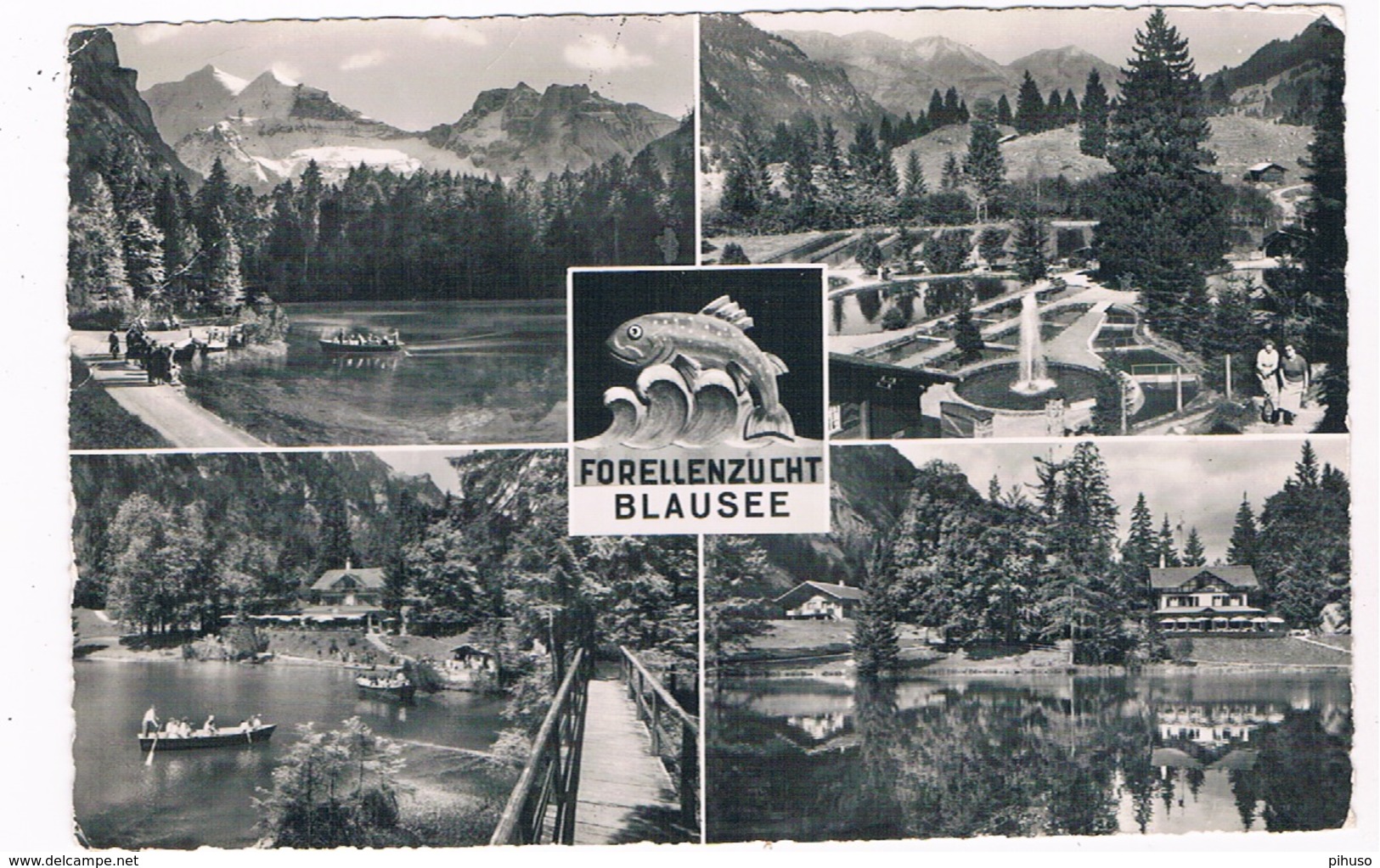 CH-5071  KANDERSTEG : Forellenzucht Blausee - Steg