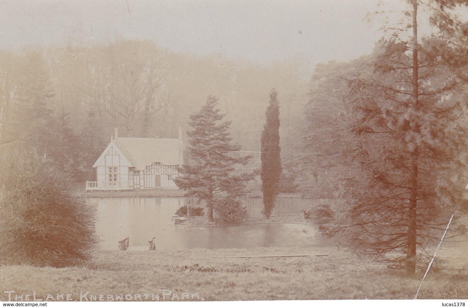 CARTE PHOTO / KNEBWORTH PARK  / THE LAKE / RARE - Hertfordshire