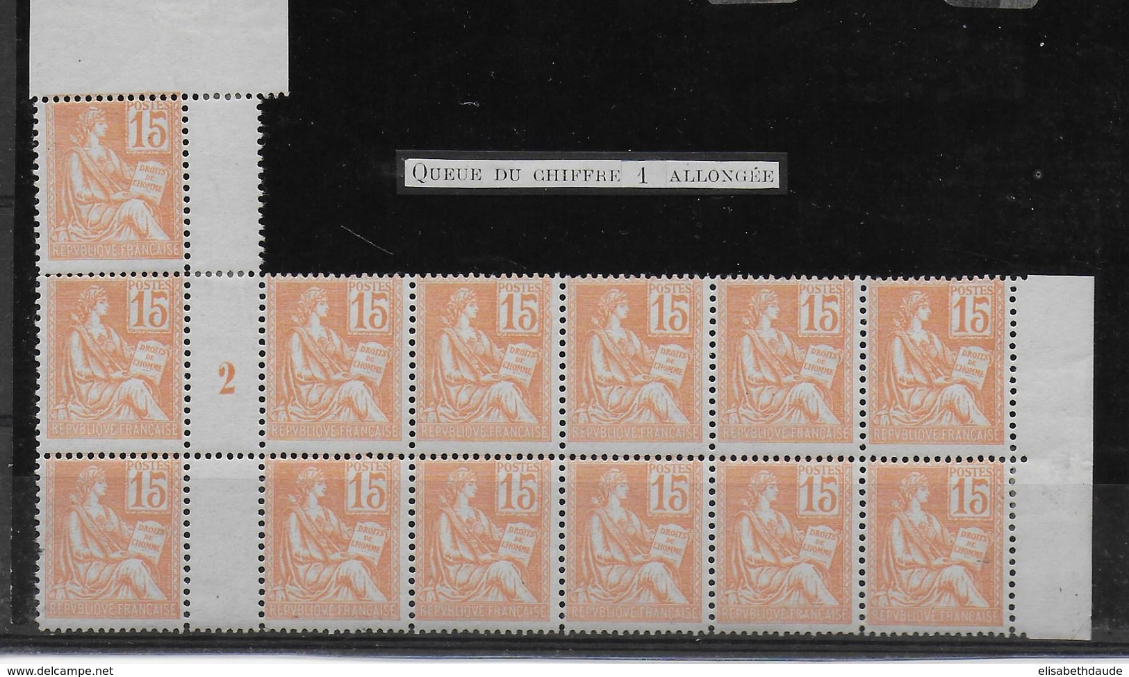 MOUCHON - SPECTACULAIRE BLOC De 13 YVERT N° 117 ** MNH AVEC UN MILLESIME + VARIETE 1 TOUCHANT LE CADRE - COTE  > 550 EUR - 1900-02 Mouchon